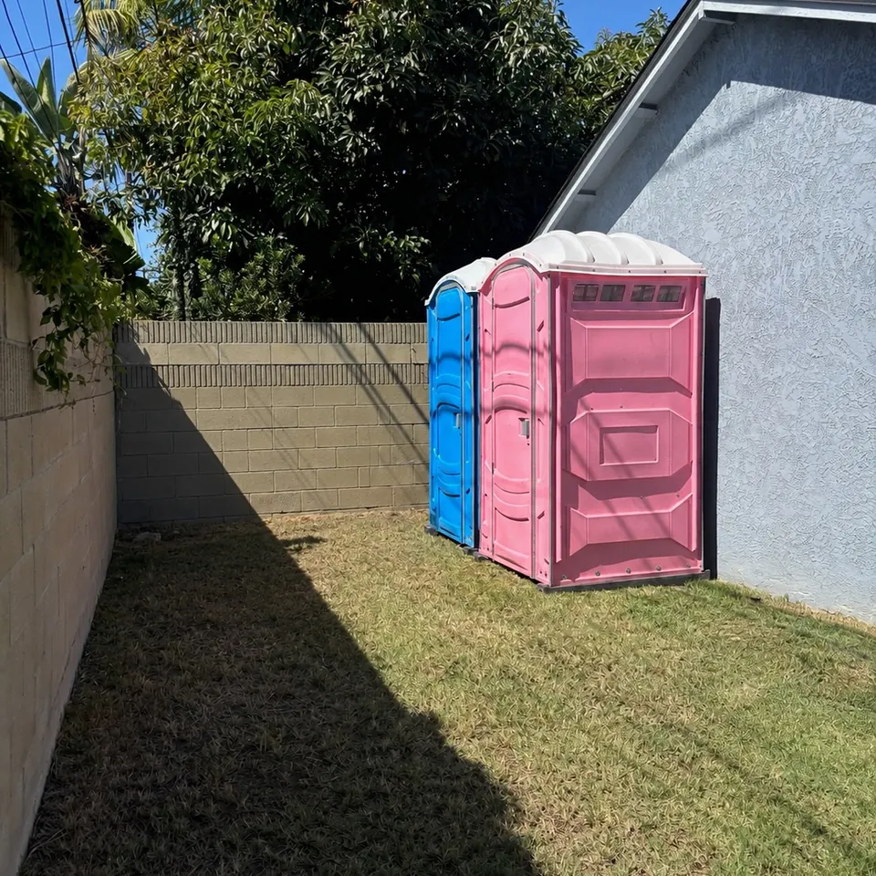 Pink and blue portable toilets beside a backyard lawn